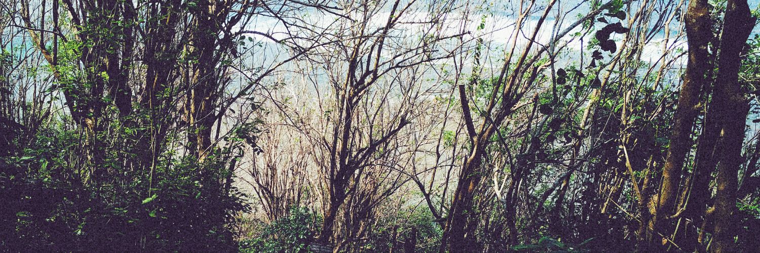 _mitass's profile banner image