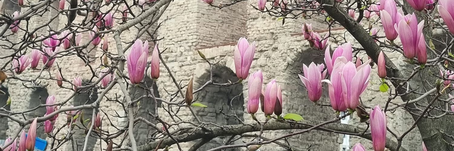bubuei_'s profile banner image