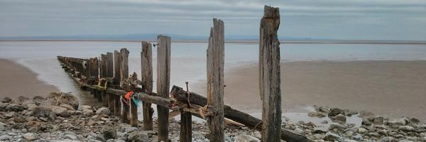 TimV37 Profile Banner