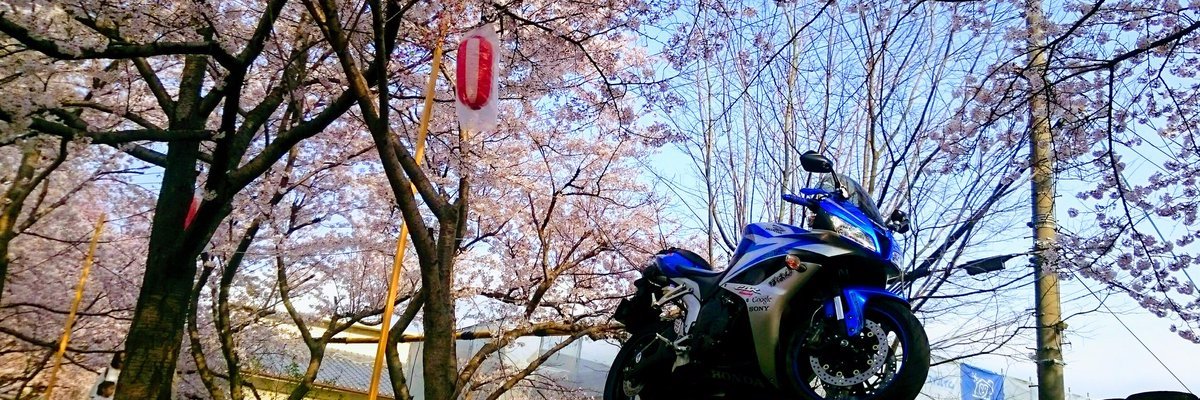 kiyo0o's profile banner image