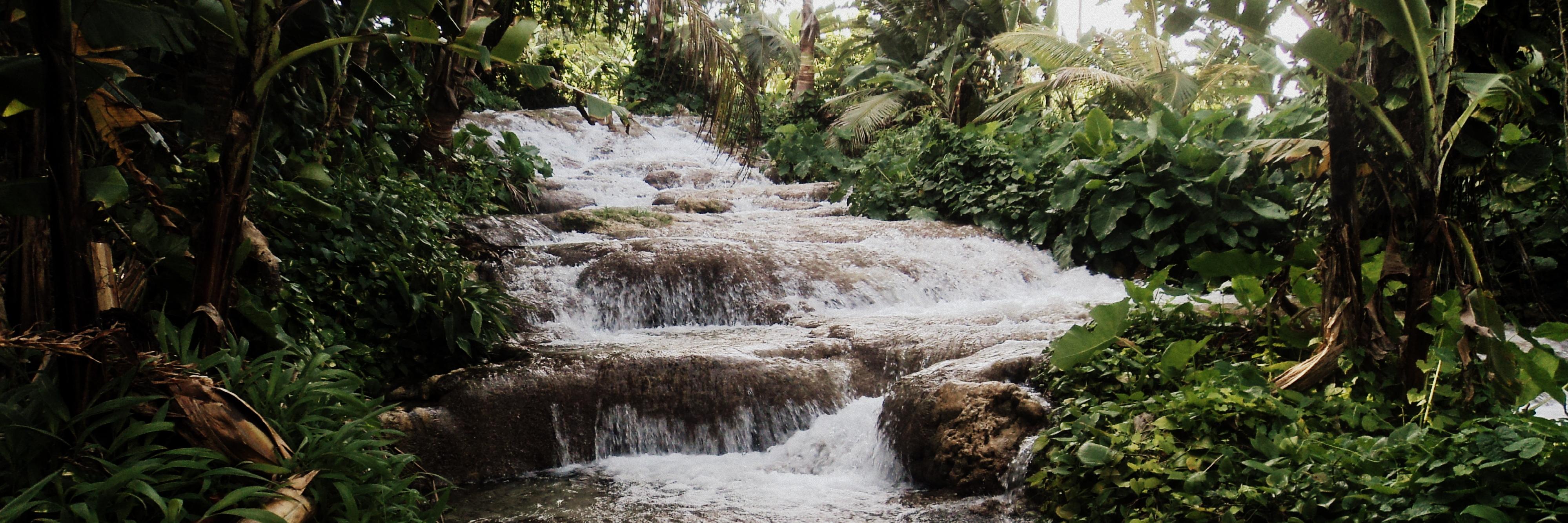 Matthew Allan banner