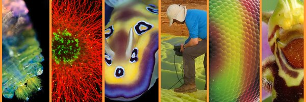 CNRS_Alsace Profile Banner