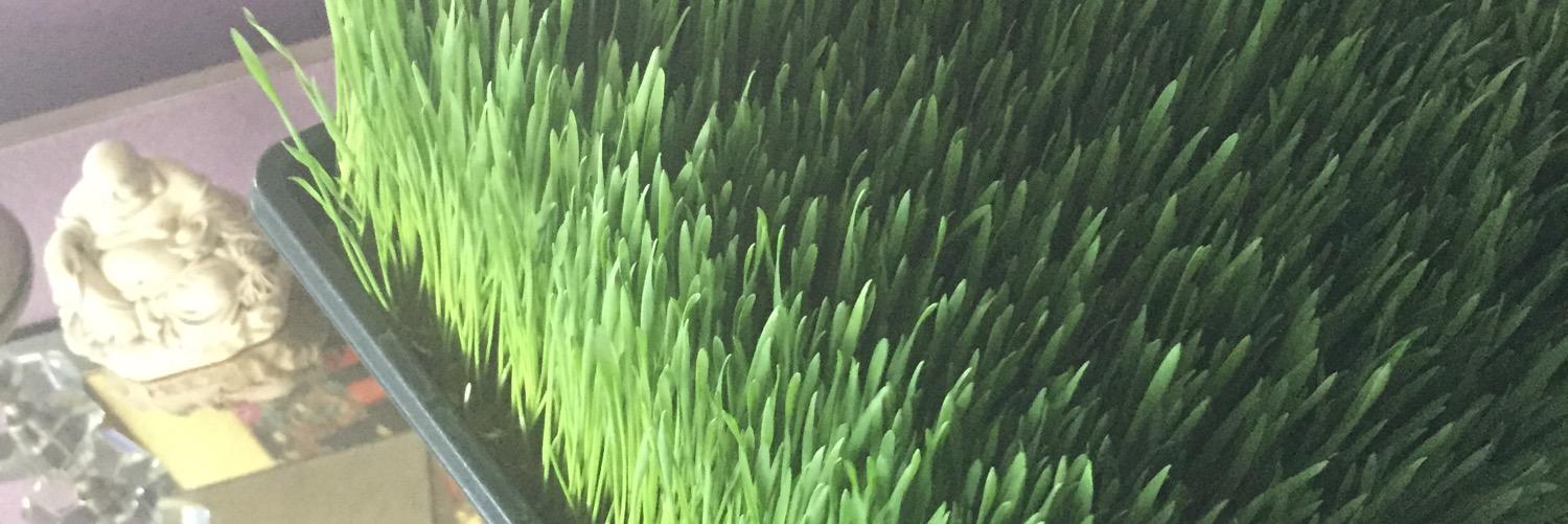 Beck2mac's profile banner image