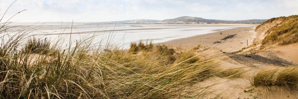 dynamicdunes Profile Banner