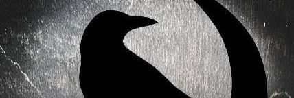 Sienne♦️ banner