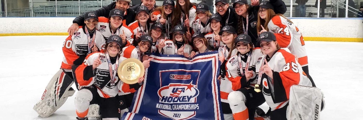 LittleFlyersGH's profile banner image