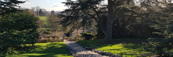 NeilSalt2019 Profile Banner