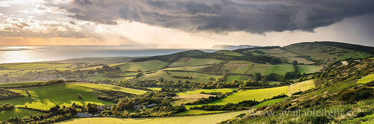 Sharon Gascoigne banner