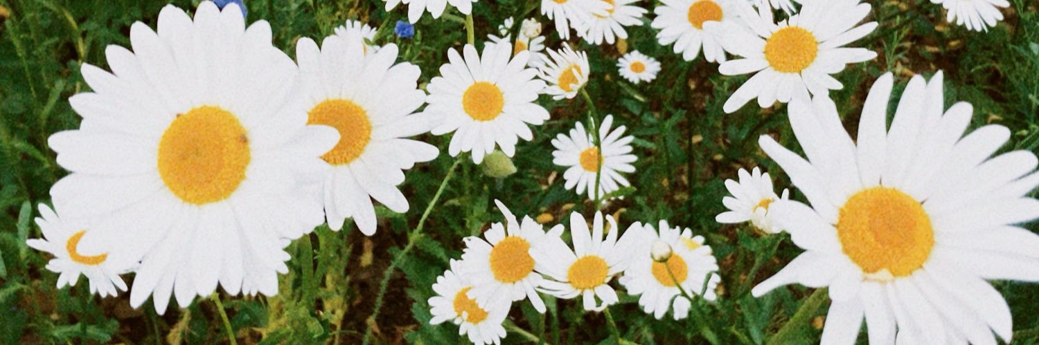 paravotelerick's profile banner image