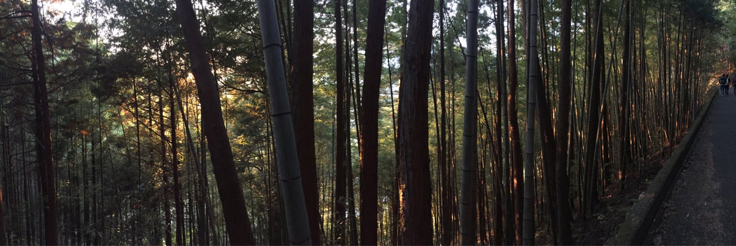 MurmuringSelf's profile banner image