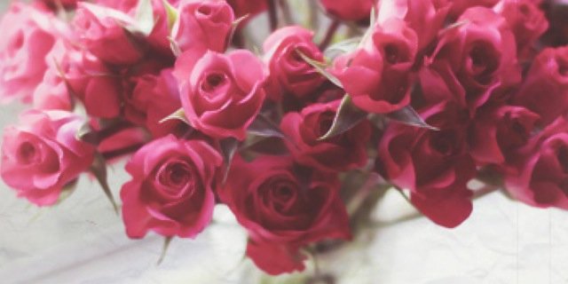 risarainsya's profile banner image