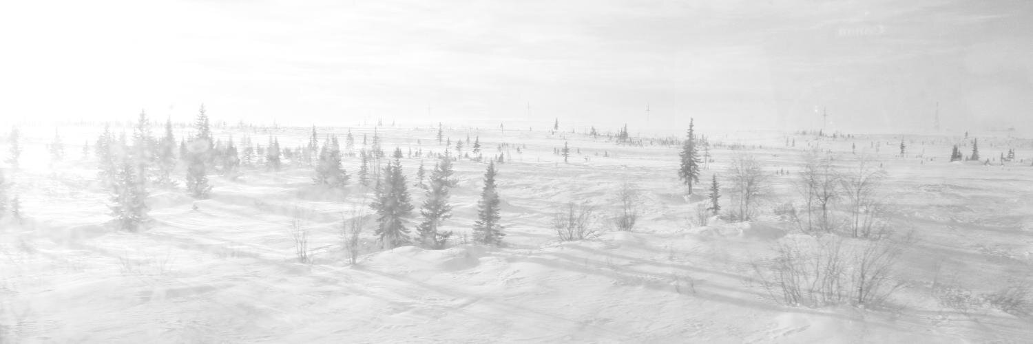 tom balmforth banner