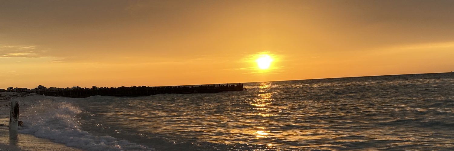 lularomboo's profile banner image