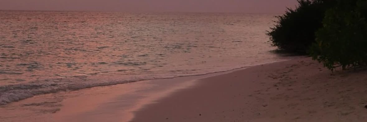 JALQARNE's profile banner image