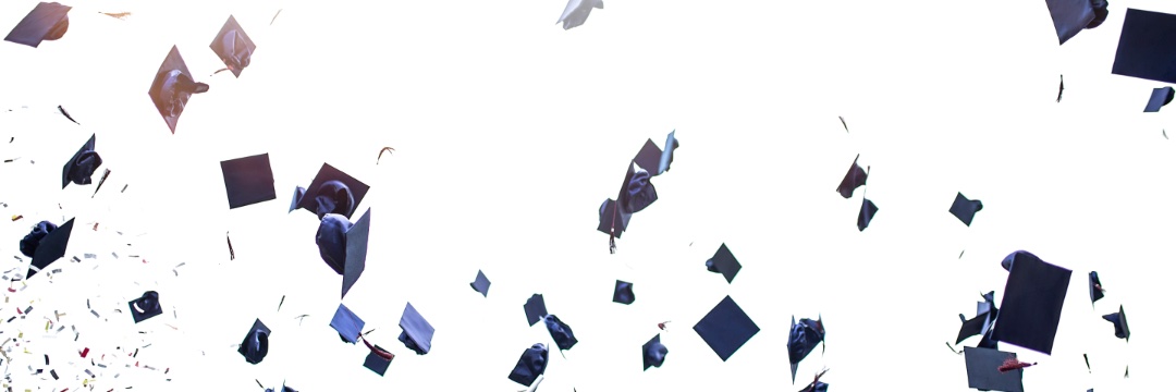 Danielle Colte banner