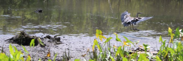mollydevore1 Profile Banner