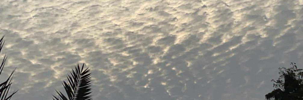 Hlilli0's profile banner image