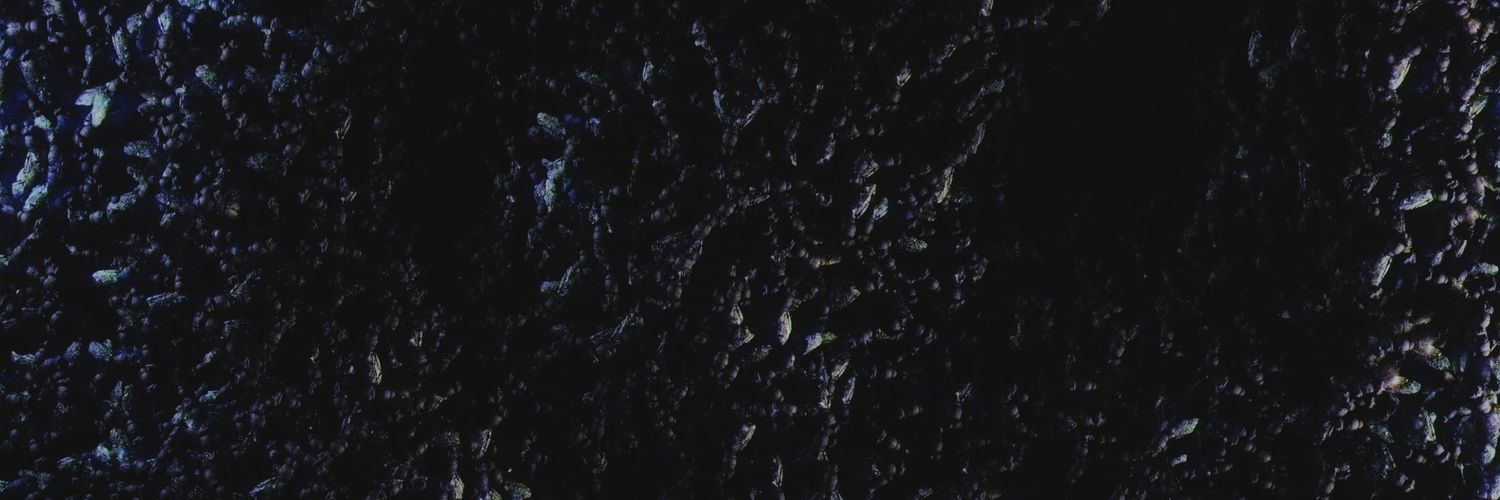 Myamsarr_│Spooky banner