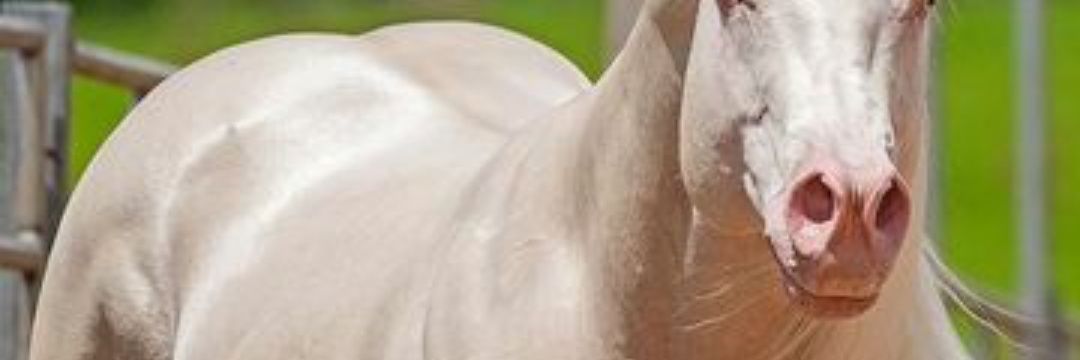 alexrojas5050's profile banner image