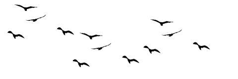 KuyaChawles's profile banner image