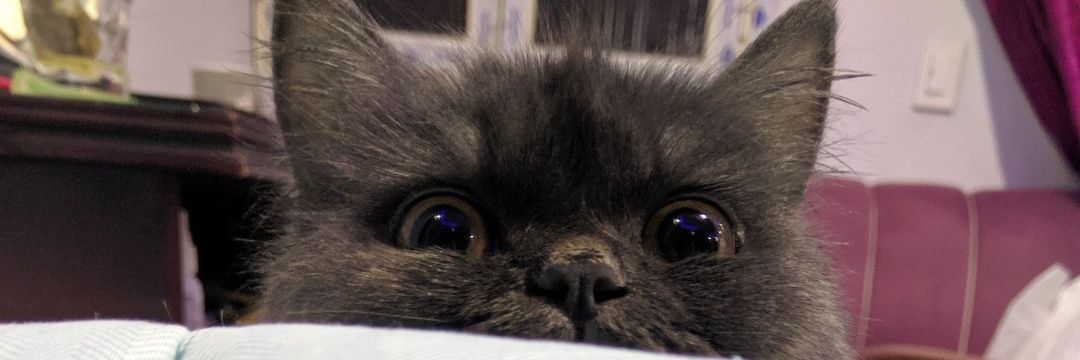 NadaSayedd98's profile banner image
