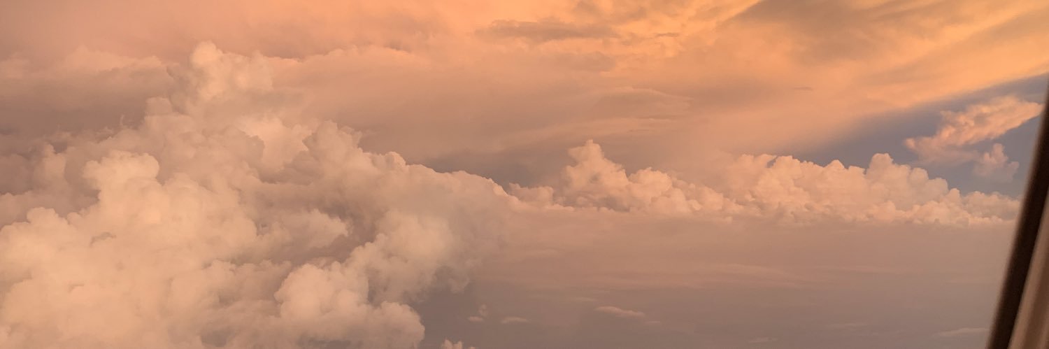 drydrangea's profile banner image