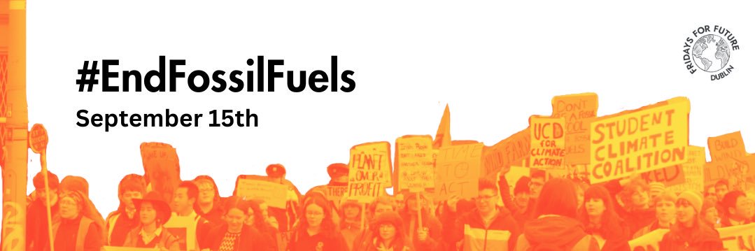 Fridays For Future Dublin banner