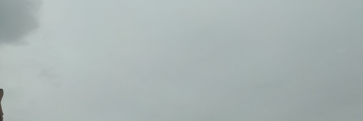 NavascuesSergio's profile banner image