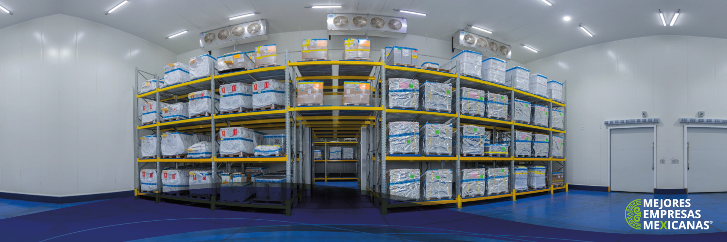 AAACESA Almacenes Fiscalizados banner