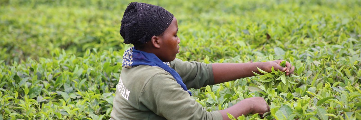 Future Agriculture Leaders banner