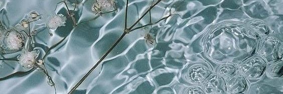 capuchelunettes's profile banner image