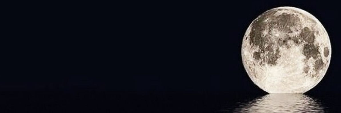 schaf1120's profile banner image