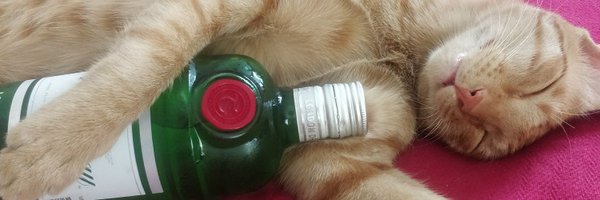 MnshaP Profile Banner