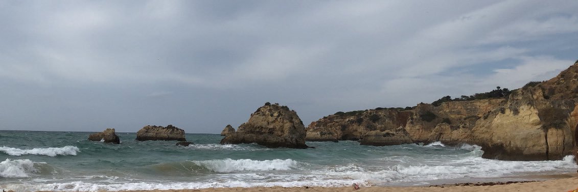 inês banner