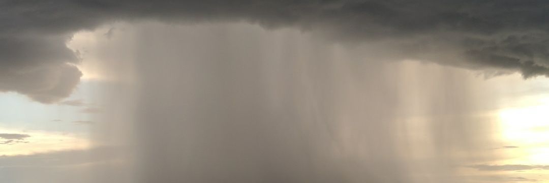 biabarison's profile banner image