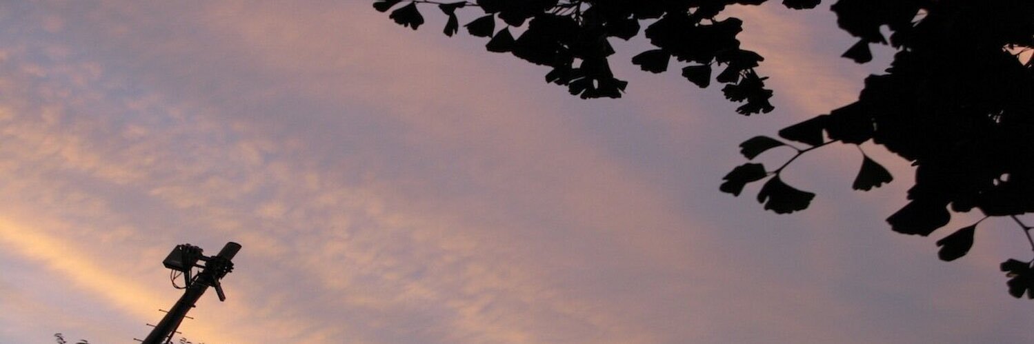 milinfeng's profile banner image