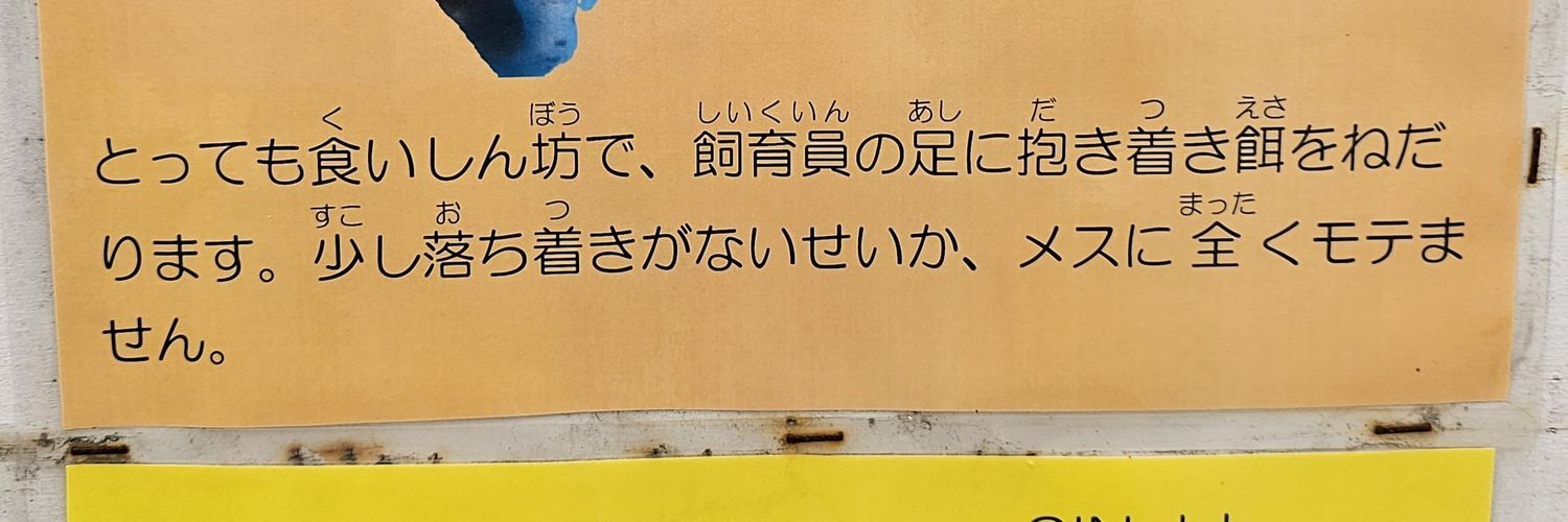 ともちそ🦭's banner