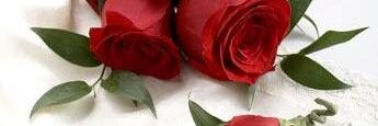 azoz45362837's profile banner image