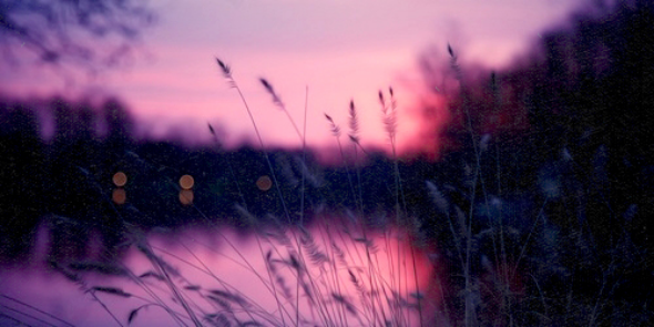 dontluan's profile banner image