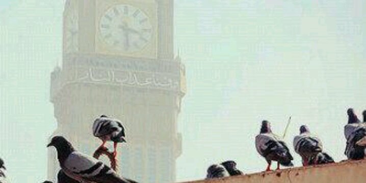 abdullah01321's profile banner image