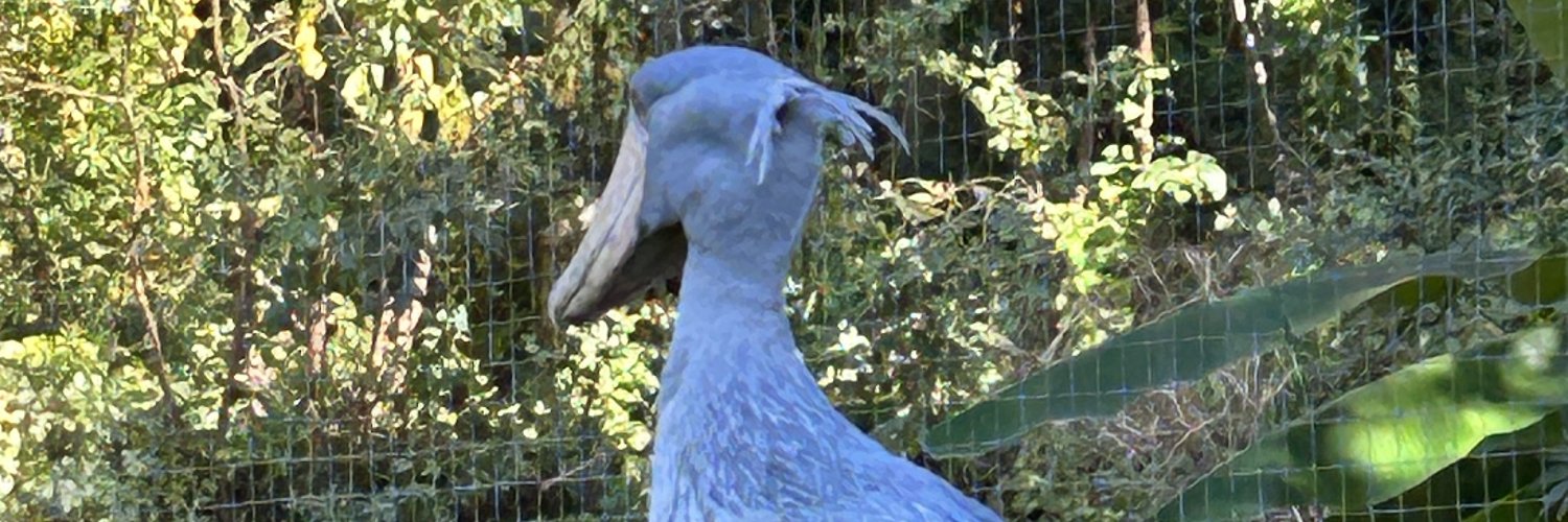 ハシビロ屋@トレカフィギュア買取 banner