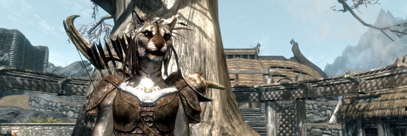 tabard's profile banner image