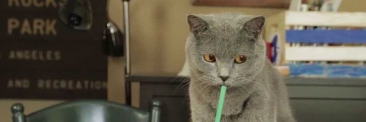 Athénita ❄⛄❄ banner