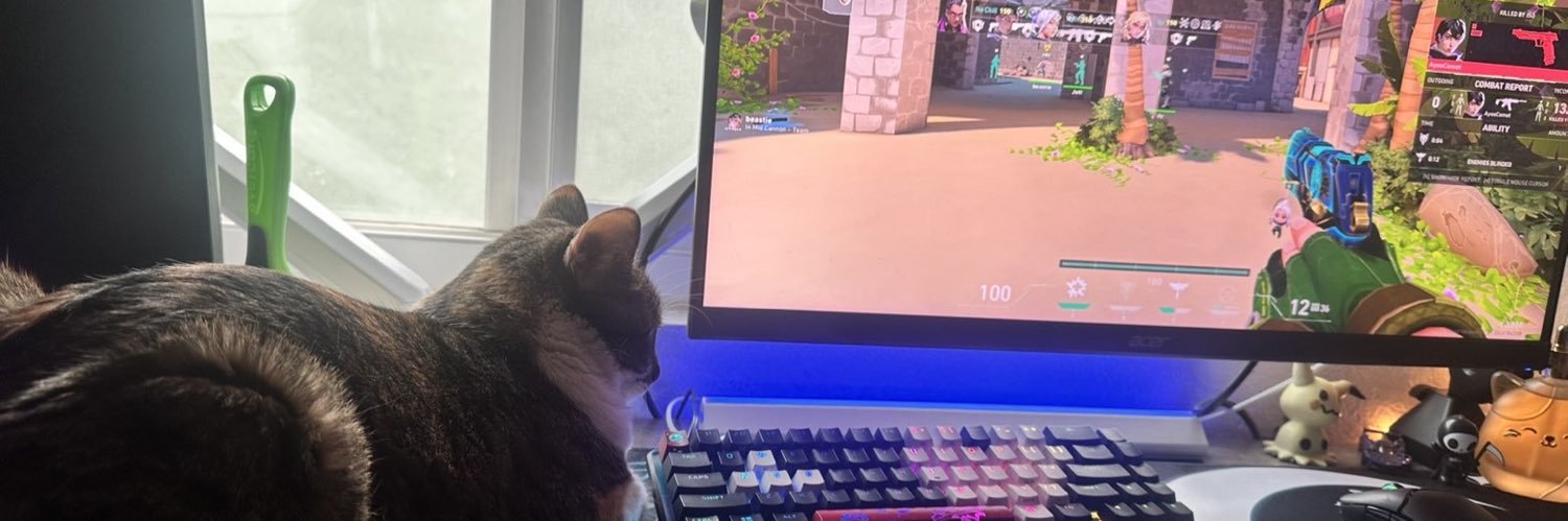 mira 🐦‍⬛ banner