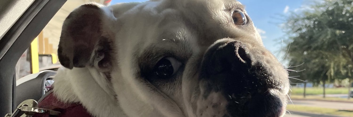 michailak24's profile banner image