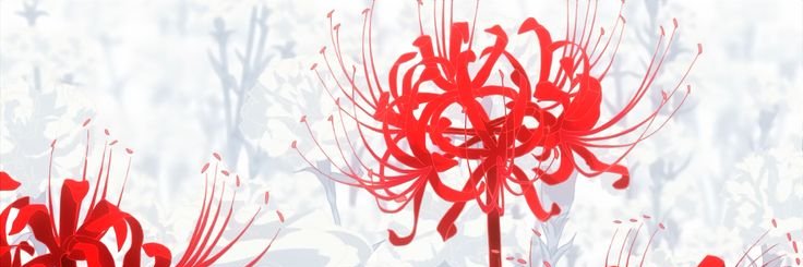 NotJulian00's profile banner image