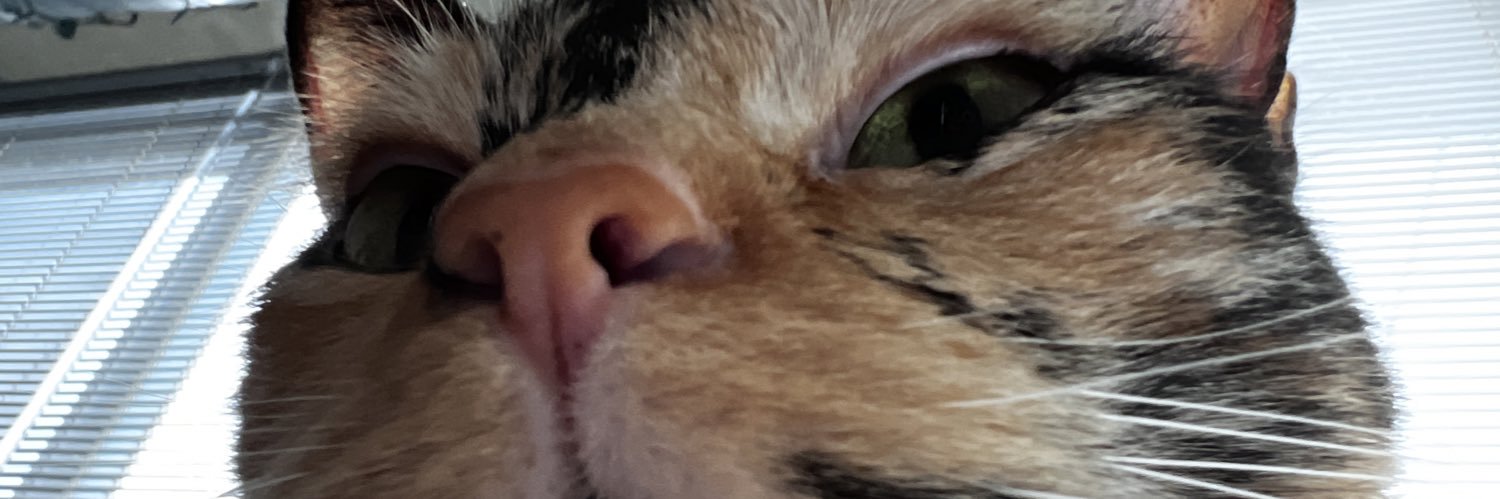 🇵🇸shep🏳️‍⚧️ is ✨ON SUB✨'s banner