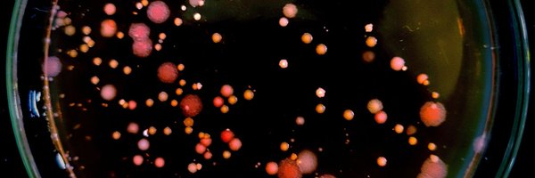 KapudeepK Profile Banner