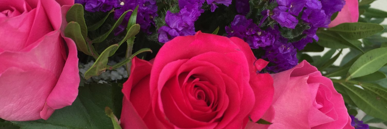 MsCFarrell's profile banner image