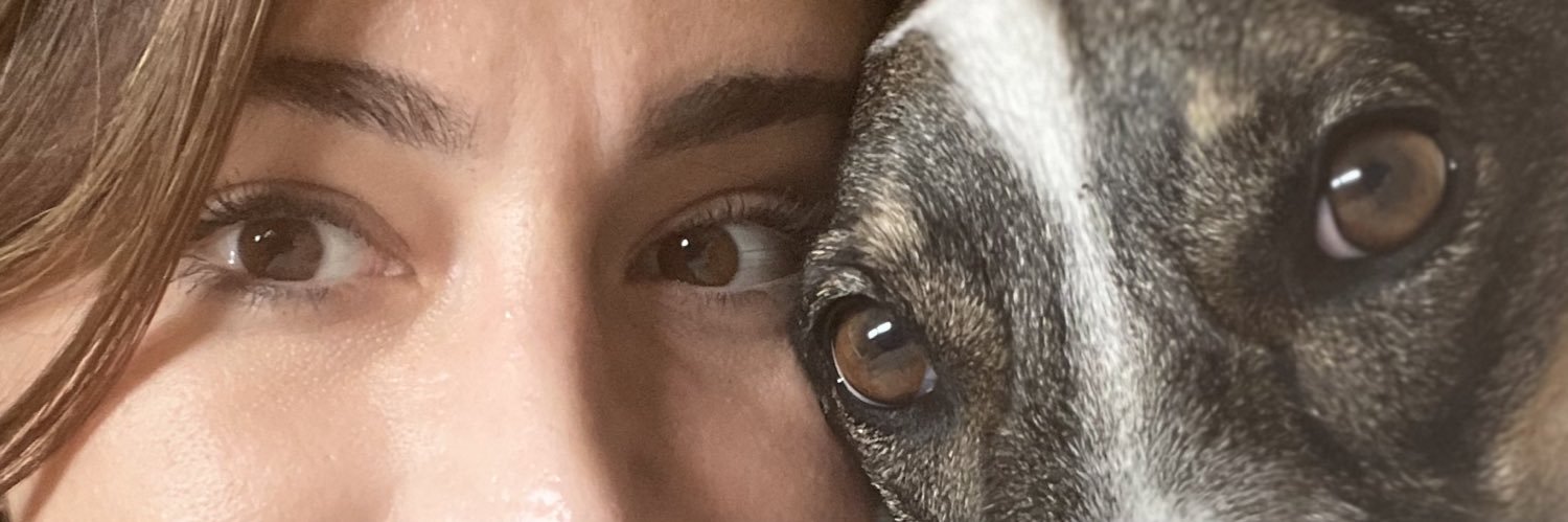 romi_damico's profile banner image